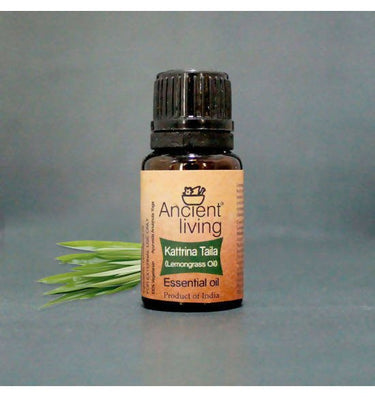 https://cdn.shopify.com/s/files/1/1857/6931/files/3HquKuRNHr-679660.jpg?v=1736147457